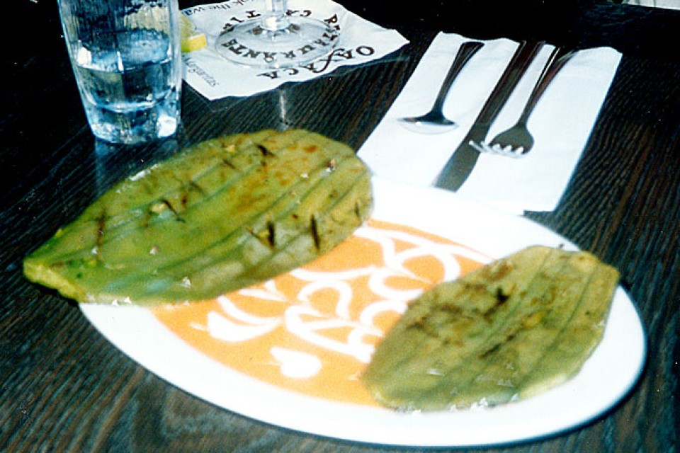 kaktuspihvi.jpg